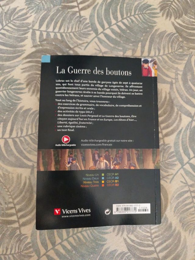 LA GUERRE DES BOUTONS (AUDIO TELECHARGEABLE)