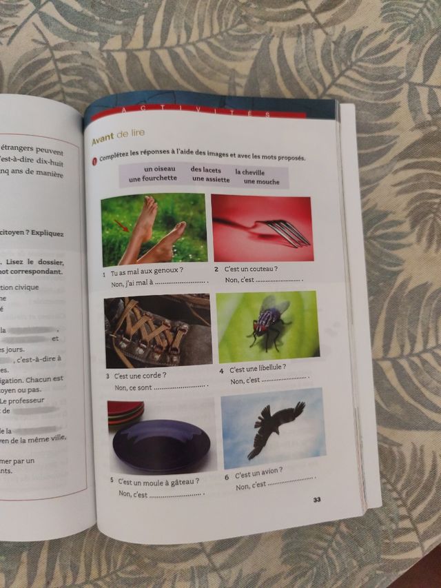 LA GUERRE DES BOUTONS (AUDIO TELECHARGEABLE)