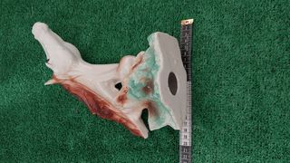 Figura de caballo vintage