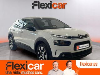 Citroën C4 Cactus BlueHDi 73KW (100CV) Business