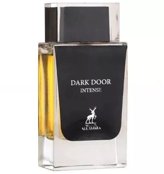 DARK DOOR INTENSE