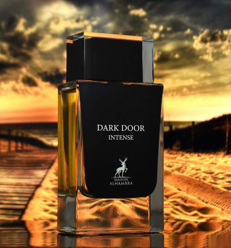 DARK DOOR INTENSE