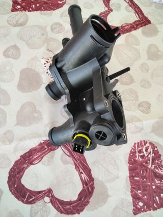 Caja termostato vwpolo AKS