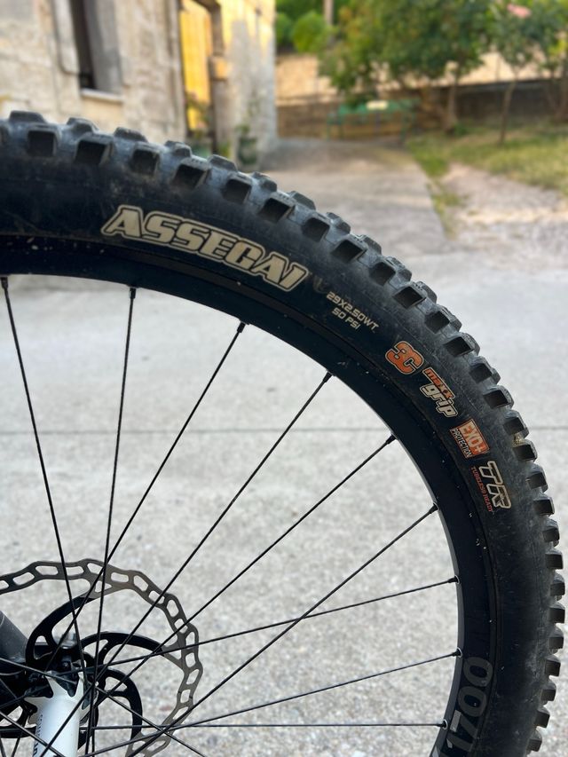 Maxxis Assegai 29" 