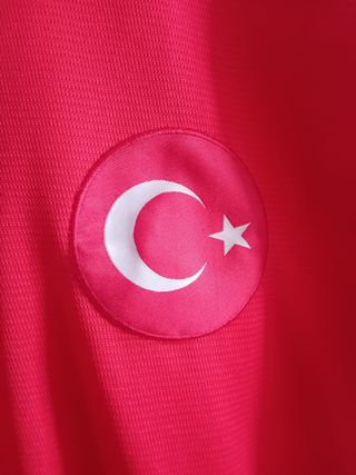 Camiseta entrenamiento Turquía 2019