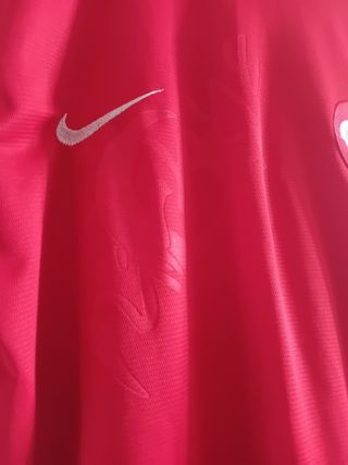 Camiseta entrenamiento Turquía 2019