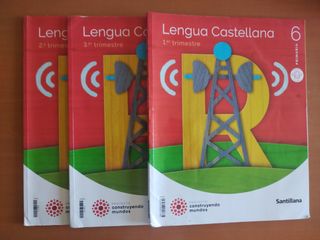 10 Libros 6 primaria. Menos los de matemáticas.