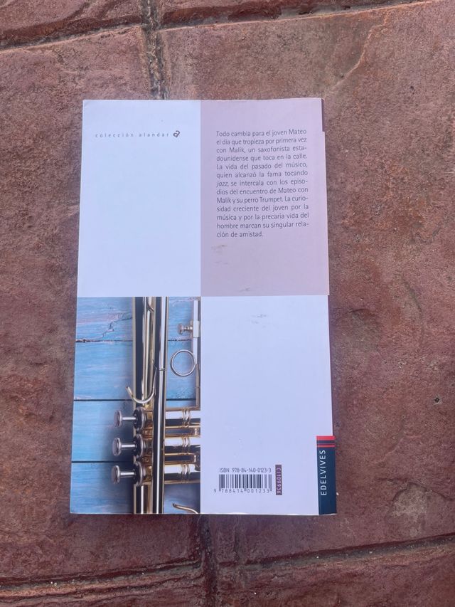 Trumpet - Mónica Rodríguez