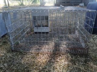 Jaula para conejos - Gris