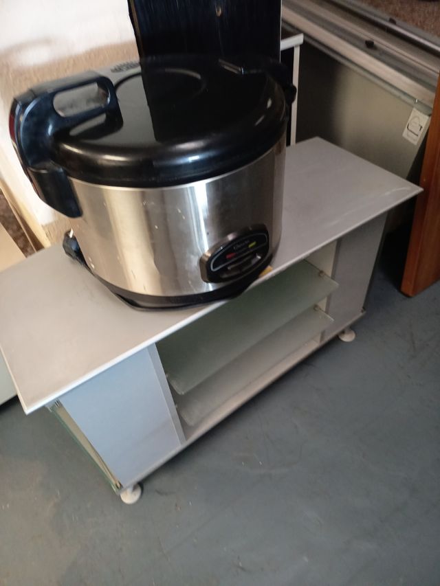 Arrocera eléctrica profesional