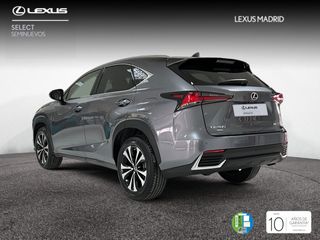 Lexus NX 2.5 300h Premium 2WD