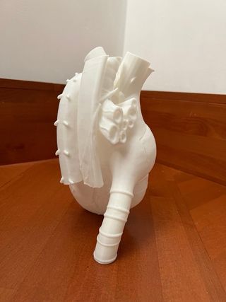 Vaso cuore anatomico bianco 