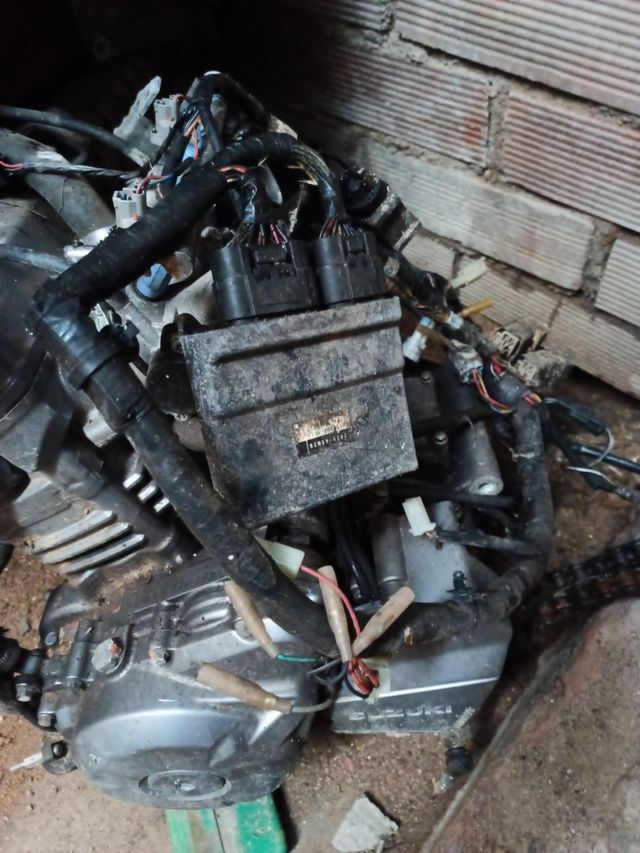 Motor Suzuki Inazuma 250