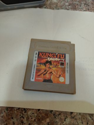 Kung Fu Master - Game Boy