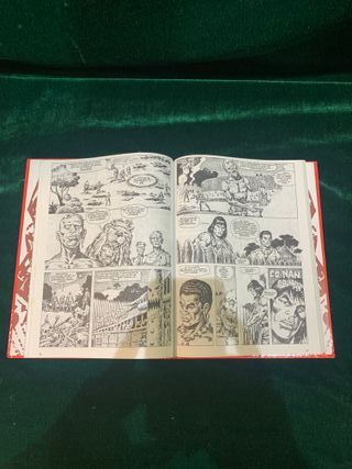 LA ESPADA SALVAJE DE CONAN TOMO 29 EDICIÓN COLECCI