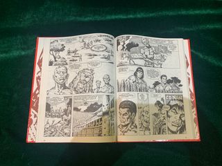 LA ESPADA SALVAJE DE CONAN TOMO 29 EDICIÓN COLECCI