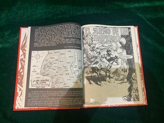 LA ESPADA SALVAJE DE CONAN TOMO 17 EDICIÓN COLECCI