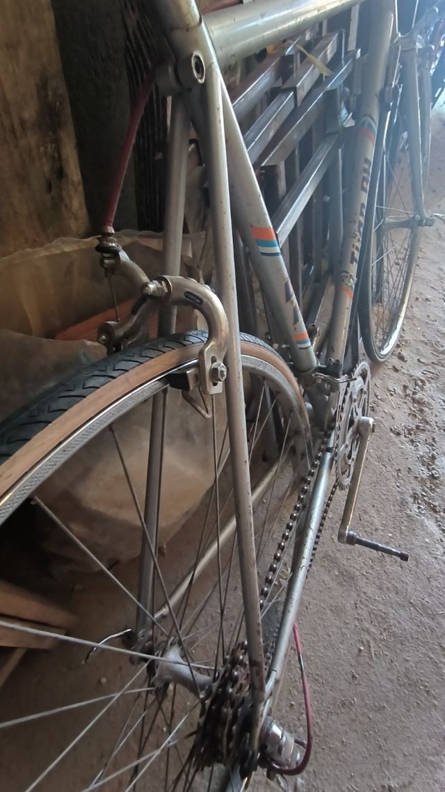 Bicicleta BH Titán Vintage