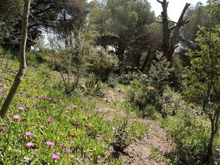 Terreno en venta en Sant Andreu de Llavaneres