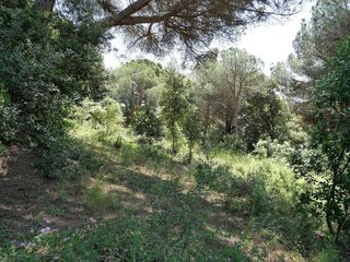 Terreno en venta en Sant Andreu de Llavaneres