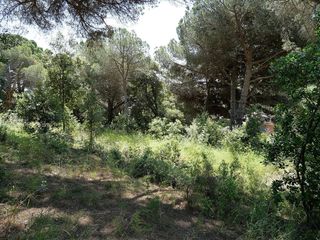 Terreno en venta en Sant Andreu de Llavaneres