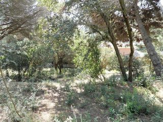 Terreno en venta en Sant Andreu de Llavaneres