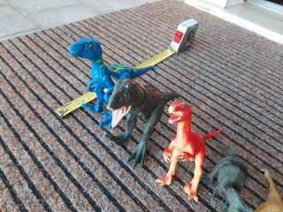 14 Dinosauri varie dimensioni