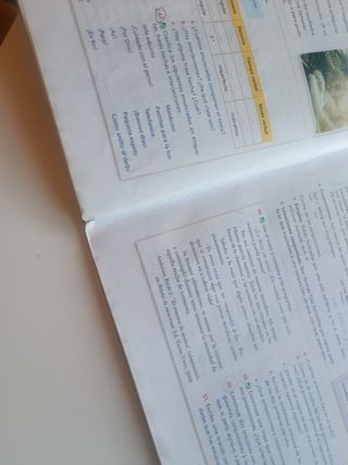 Lengua castellana y literatura.