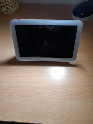 Alexa  nexr hub Google 