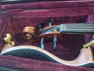 Violín 4/4 Carlo Giordano VS-3, arco, complementos