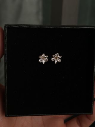 Pendientes Pandora Flor Brillante