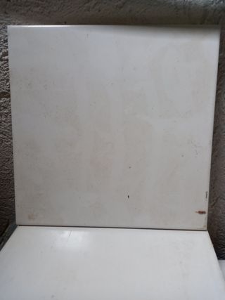 Rajolas blancas pavimento blanco 25x25