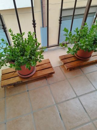 3 PortaPiante Legno Esterno