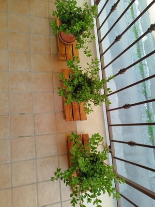 3 PortaPiante Legno Esterno