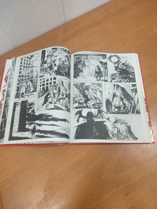 La espalda salvaje de Conan El Barbaro