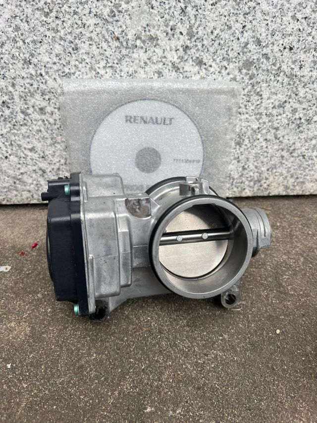 Mariposa Renault - Cuerpo de Mariposa