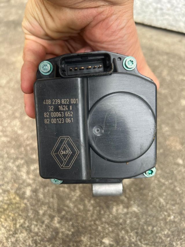 Mariposa Renault - Cuerpo de Mariposa