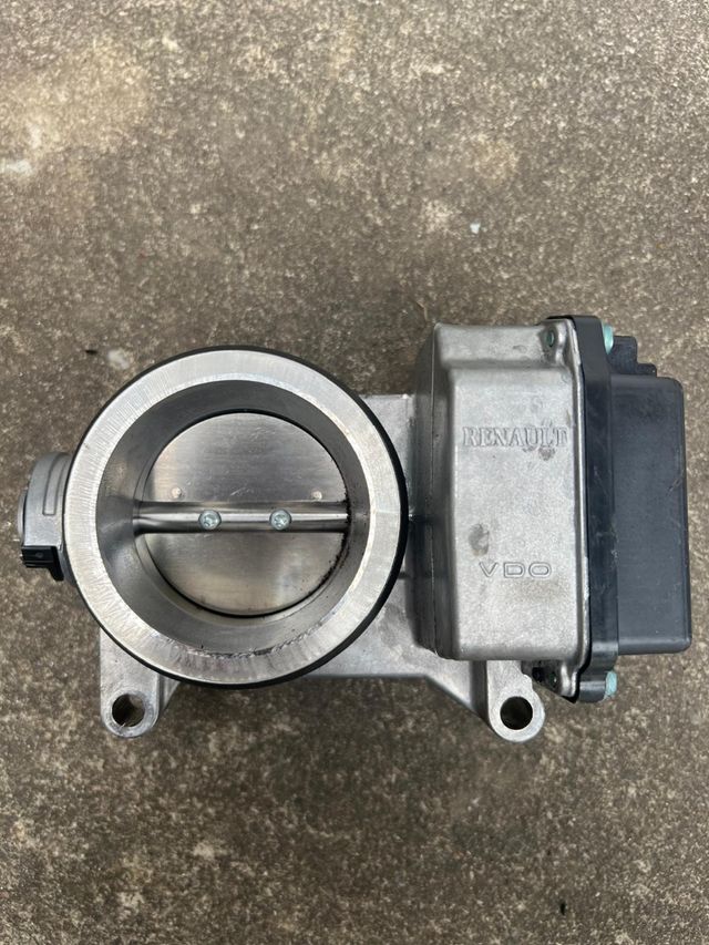 Mariposa Renault - Cuerpo de Mariposa