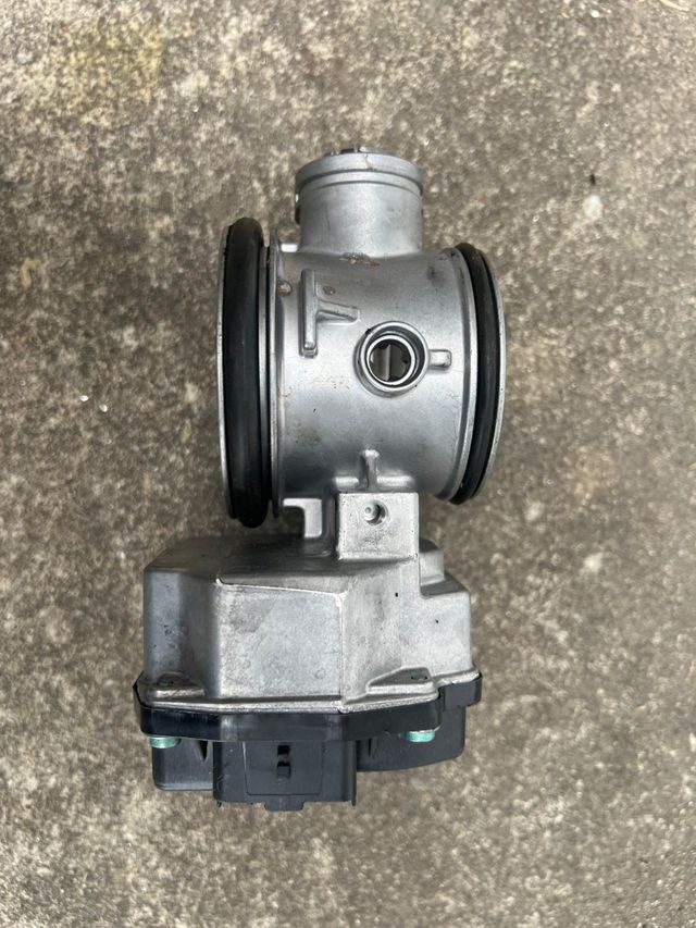 Mariposa Renault - Cuerpo de Mariposa