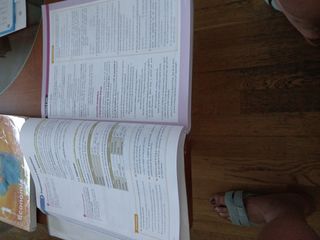 Lengua castellana y literatura. 1 Bachillerato....