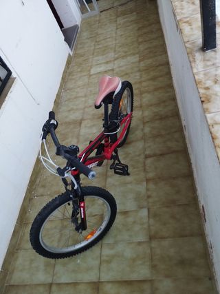 Bicicleta niño 20" WBM
