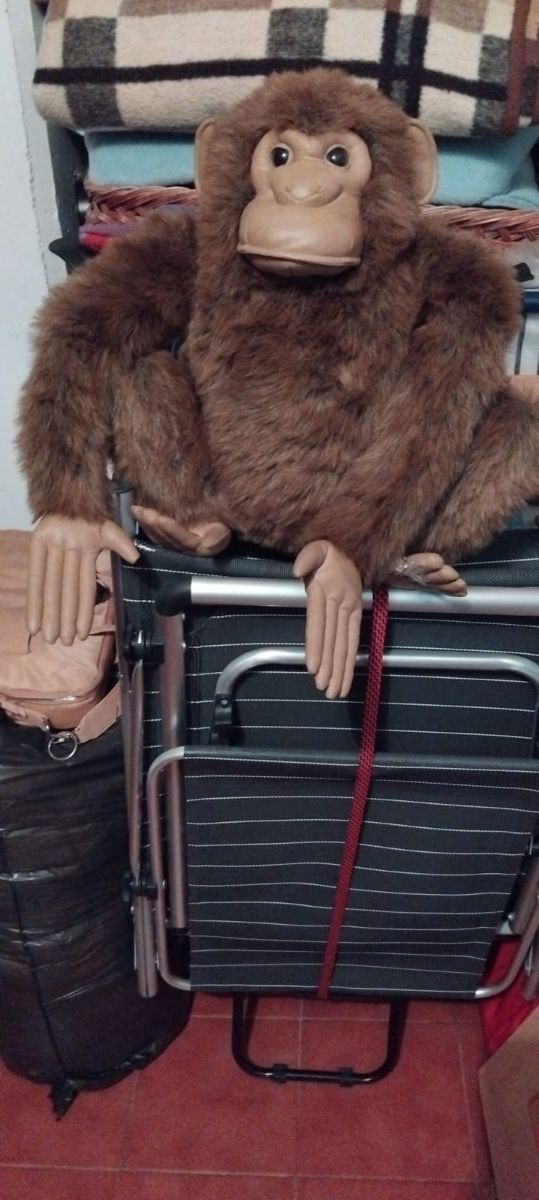 Mono peluche grande, nuevo