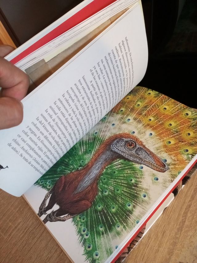 Pequeña historia de los dinosaurios