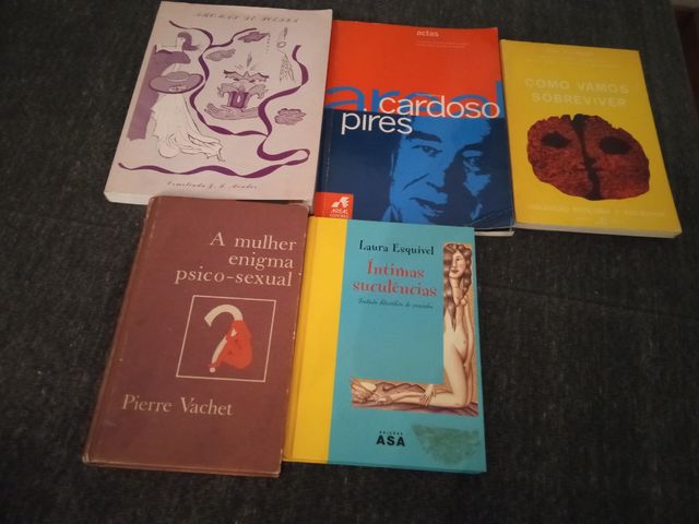 Livros Vários Temas Usados