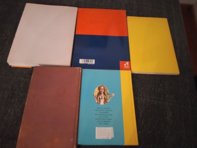 Livros Vários Temas Usados