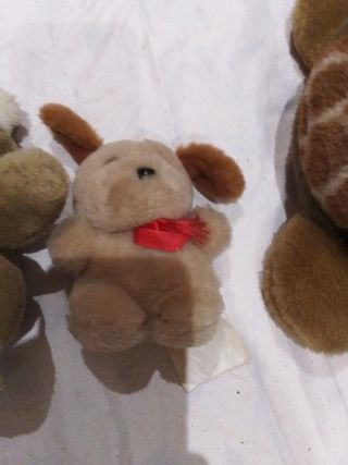 3 peluches: oso, perro, tortuga
