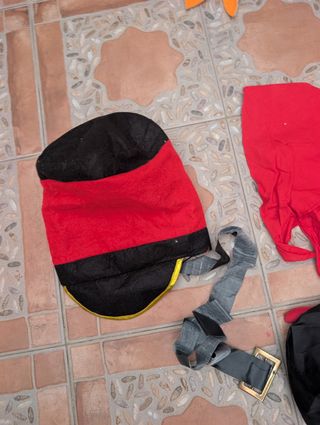 Disfraz torero niño , dinosaurio,y otros disfraces