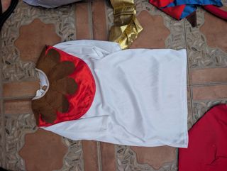 Disfraz torero niño , dinosaurio,y otros disfraces