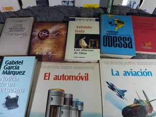 Lote Libros POLITICA, NOVELAS, BIOGRAFÍAS ETC