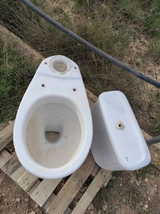 Inodoro wáter. 
Bidé Roca.